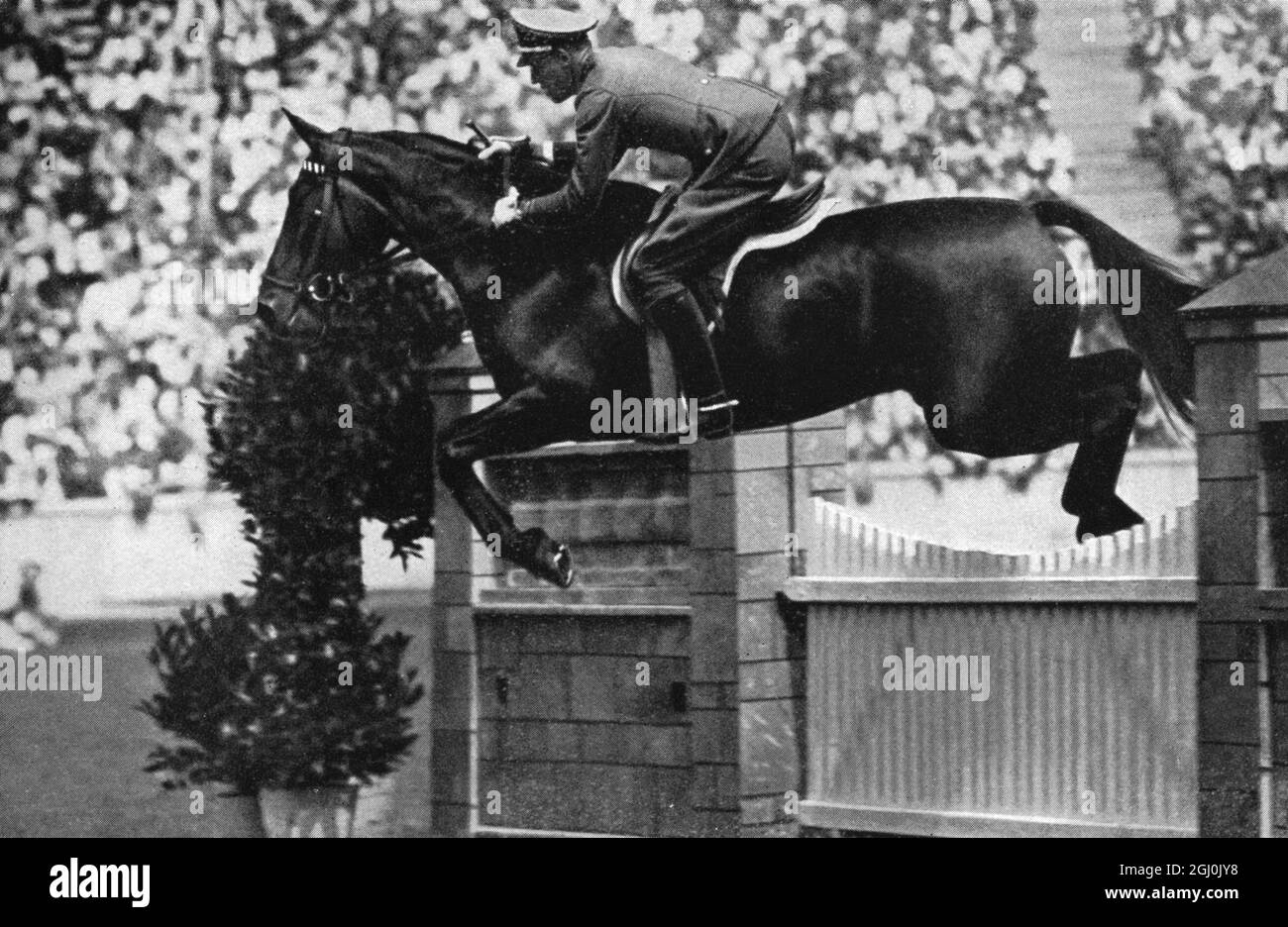 1936 Olympics, Berlin - Riding - Captain Ludwig Stubbendorff won a gold medal in the eventing team (showjumping) on ''Nurmi''. (Hauptmann Stubbendorff gewann die Goldmedaille in der Vielseitigkeitsprufung auf ''Nurmi'') ©TopFoto Stock Photo