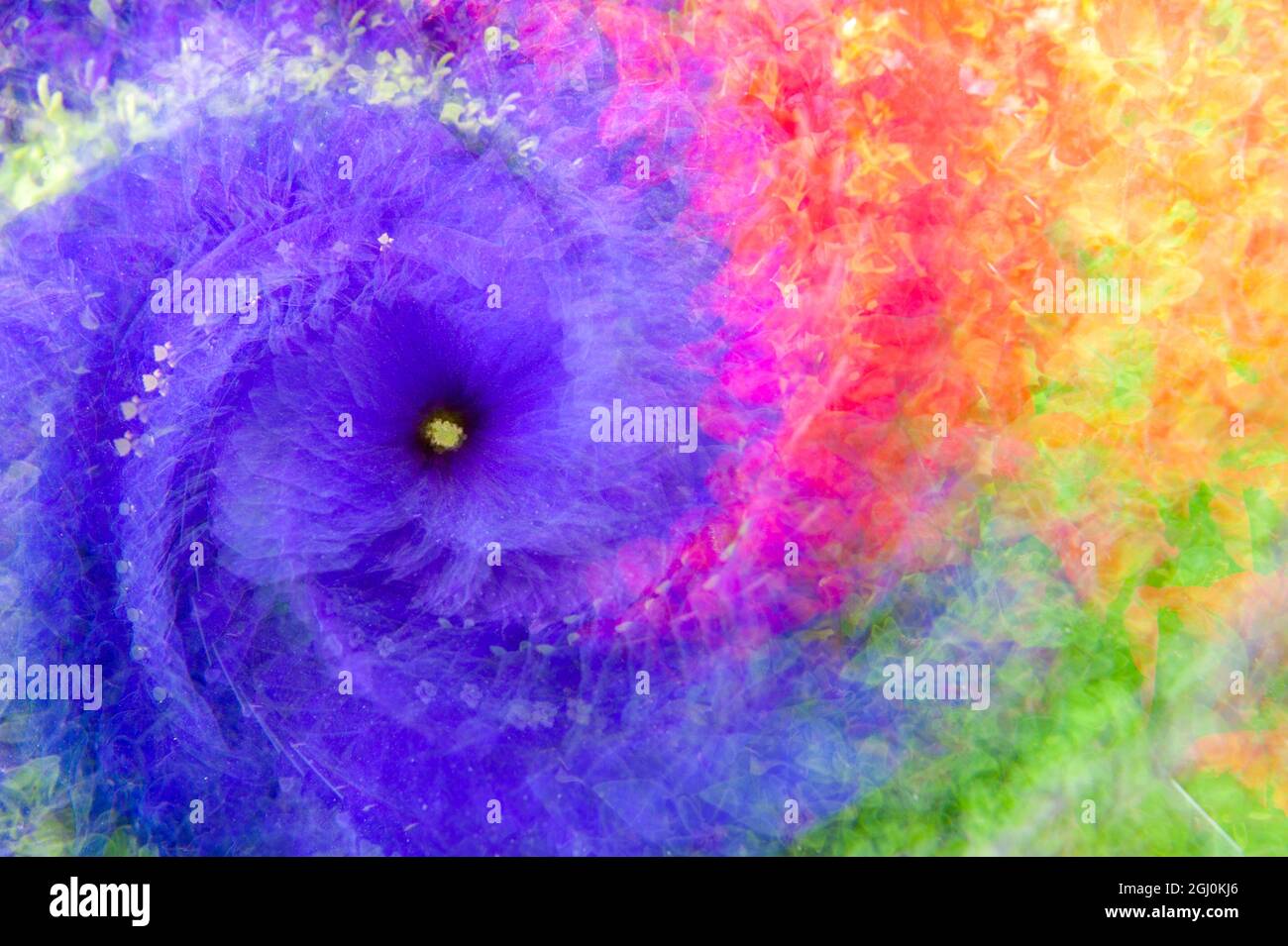 Multiple exposure of flowers with twirl for abstract effect Stock Photo