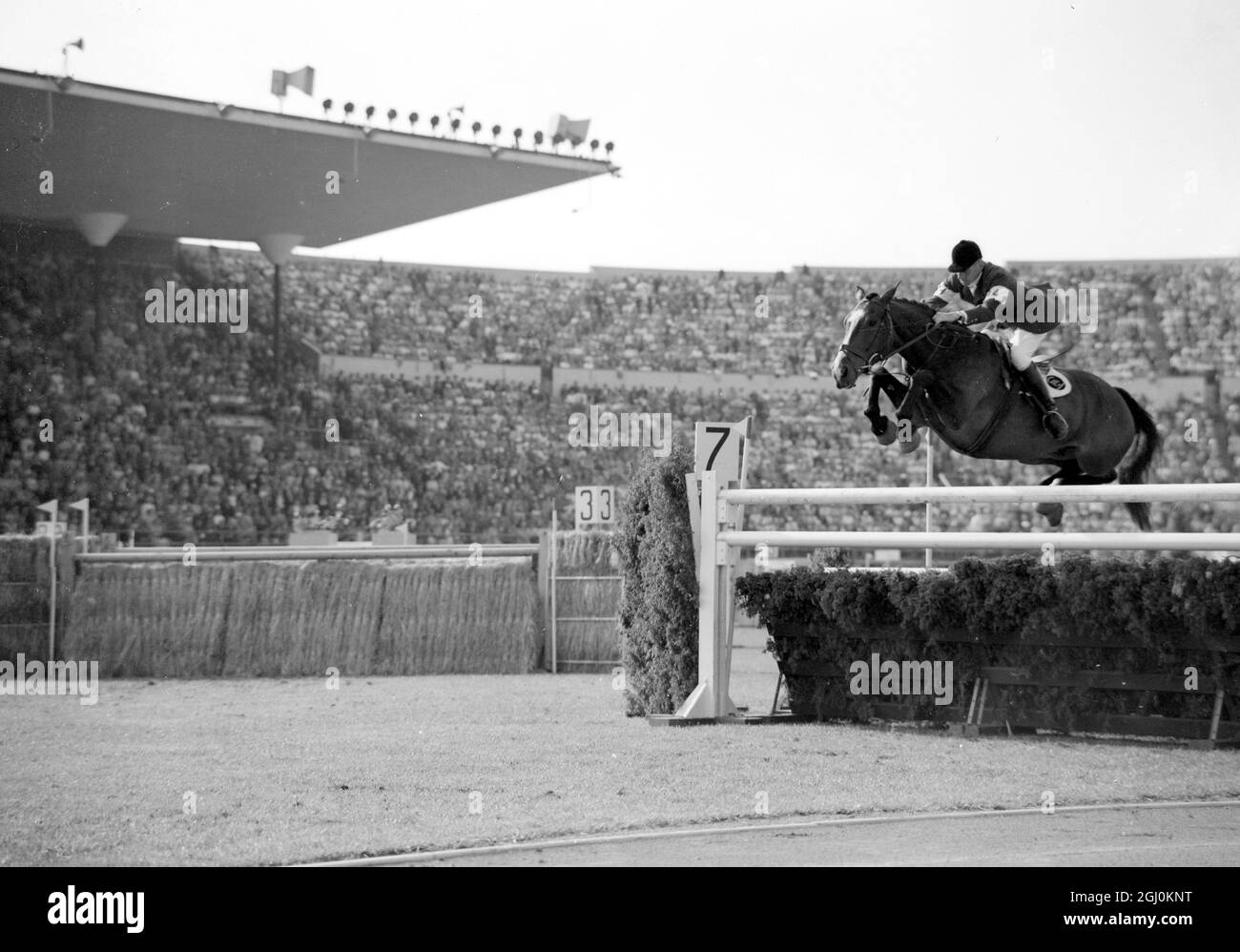 Helsinki: W.H. White (Britain) riding Nizefella, during the Prix Des Nations jumping event. here. The Individual event was won by a Frenchman, P. Jonqueres D' Oriola, and Britain took first place in the team event. 4 August 1952 Stock Photo