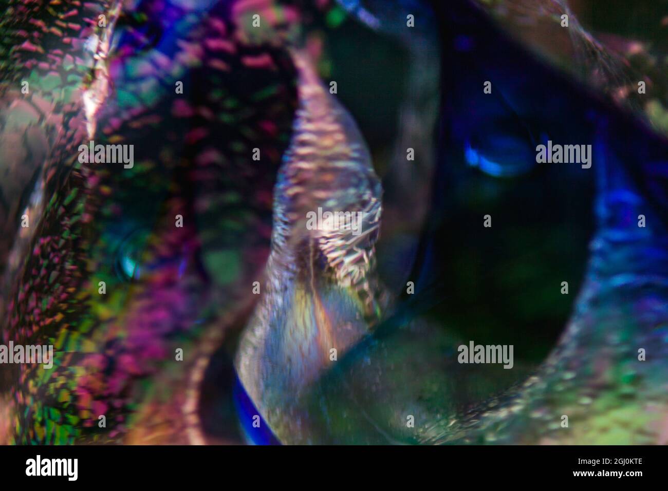 Colorful abstract background. Stock Photo
