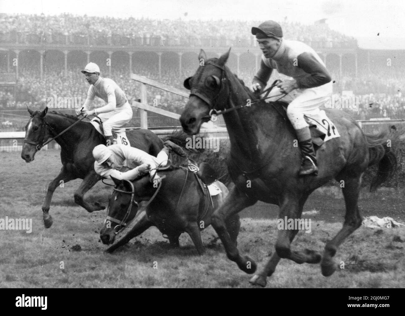 Aintree Liverpool . Grand National won by '' Mr What '' ridden by Arthur Freeman and owned Mr DJ Coughlan . Second was Tiberetta and third was Green Dill Fall at Water Jump '' Richardstown '' ridden by T Taffe is shown falling nearest camera is '' Pippykin '' ridden by T Brookshaw and at far side is '' Sydney Jones '' ridden by M Tory . 29 March 1958 Stock Photo