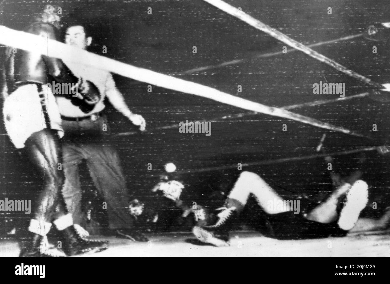 Wrigley Field , Los Angeles . Hogan ' Kid ' Bassey of Nigeria the World Featherweight Champion is restrained by referee after the former had floored Ricardo ' Little Bird ' of Liverpool in the third round . The count ended with only seconds of the round to go . 2 April 1958 Stock Photo