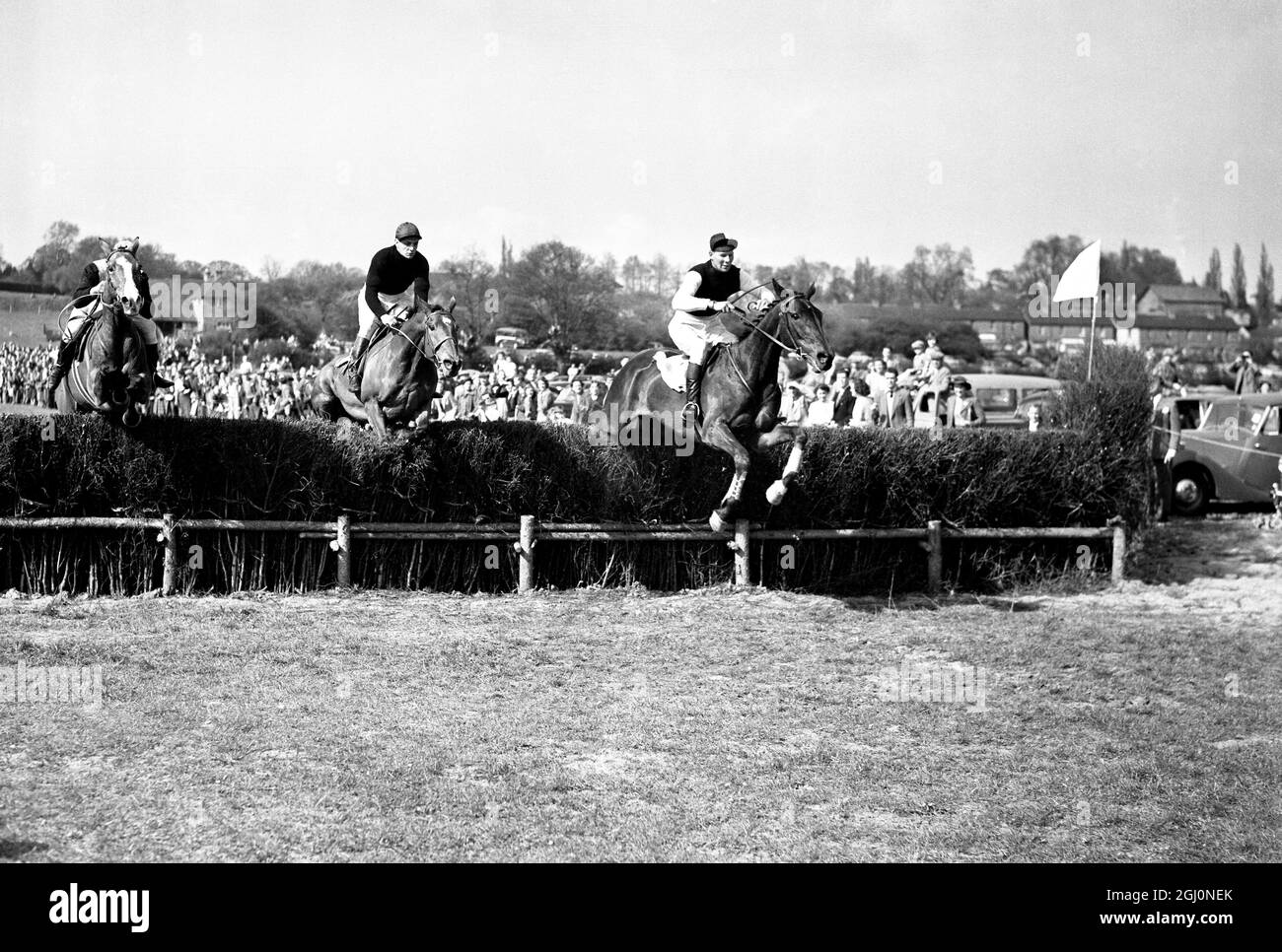 9 May 1954 T.B. Palmer on Gold Bonus takes the last to win the Harewoods Challenge Cup (Division 2) event at the Old Surrey and Burstow Hunt point-to-point races at Spitals Cross, Edenbridge, Kent, England. Second is Riverhead ridden by Ivor Kerwood and third Steel Drop by owner-jockey Mr C. Nesfield. TopFoto.co.uk Stock Photo