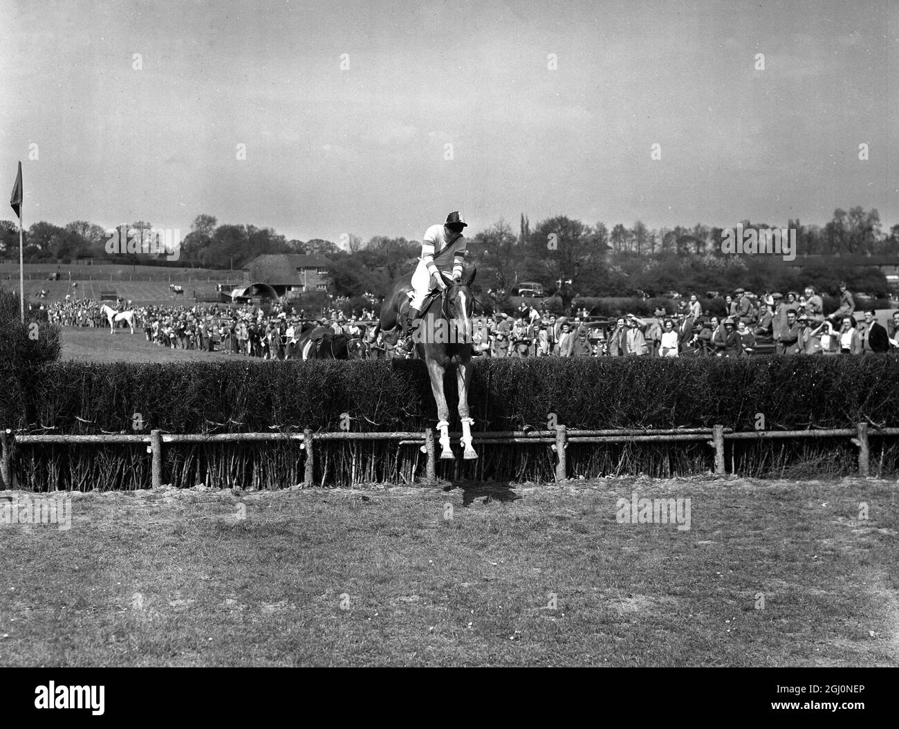 9 May 1954 Gay Kindersley takes the last on Huckster to win the Masters' Cup event at the Old Surrey and Burstow Hunt point-to-point races at Spitals Cross, Edenbridge, Kent, England. TopFoto.co.uk Stock Photo