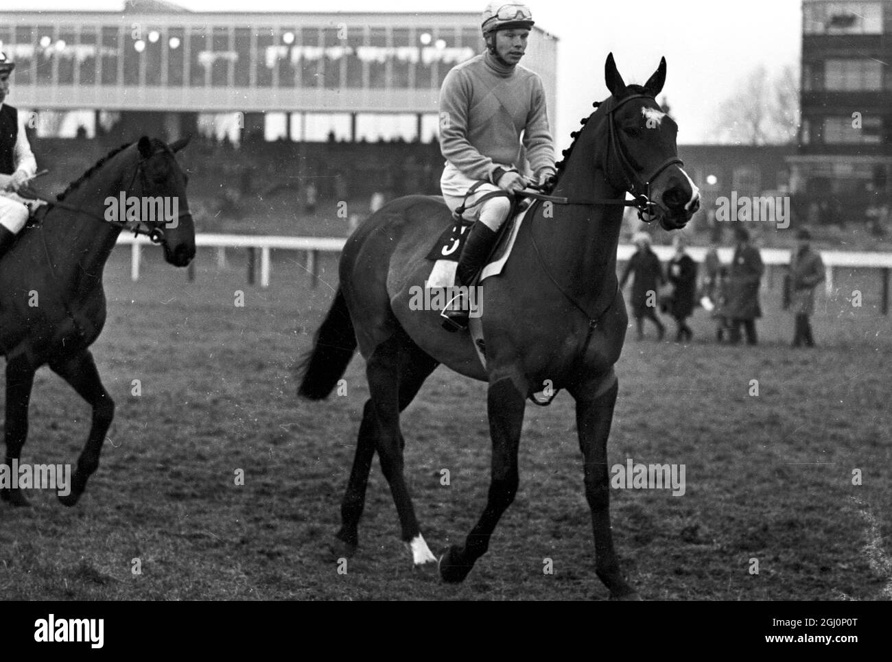 Jay Trump , the 8 year old American chaser , with American jockey , Tommy Smith up , pictured after winning the Harwell Amateur Riders' Handicap Steeplechase at Newbury Races , 19 February . Following this magnificent victory in this race Jay Trump was made clear favourite for next month's Grand National Steeplechase . 22 February 1965 Stock Photo