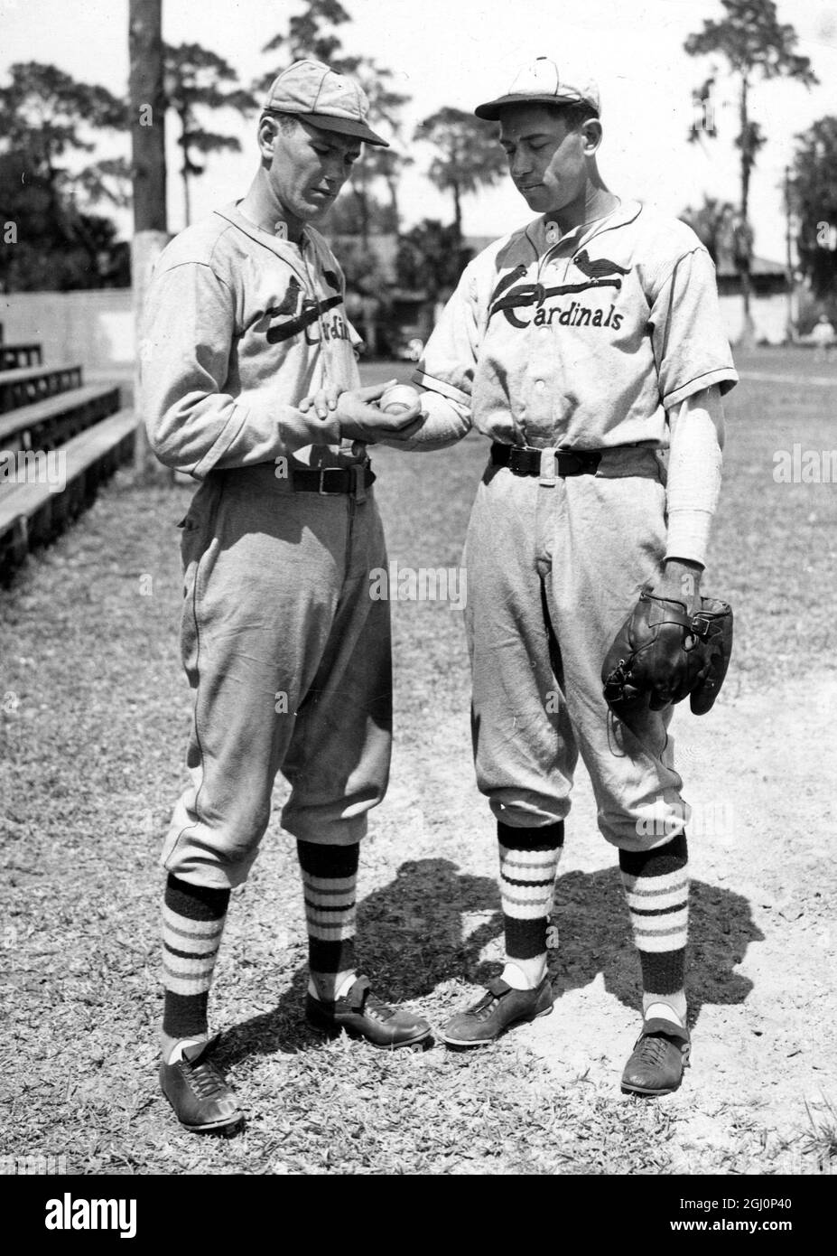 Beech Nut Dizzy Dean Brothers St. Louis Cardinals Baseball 
