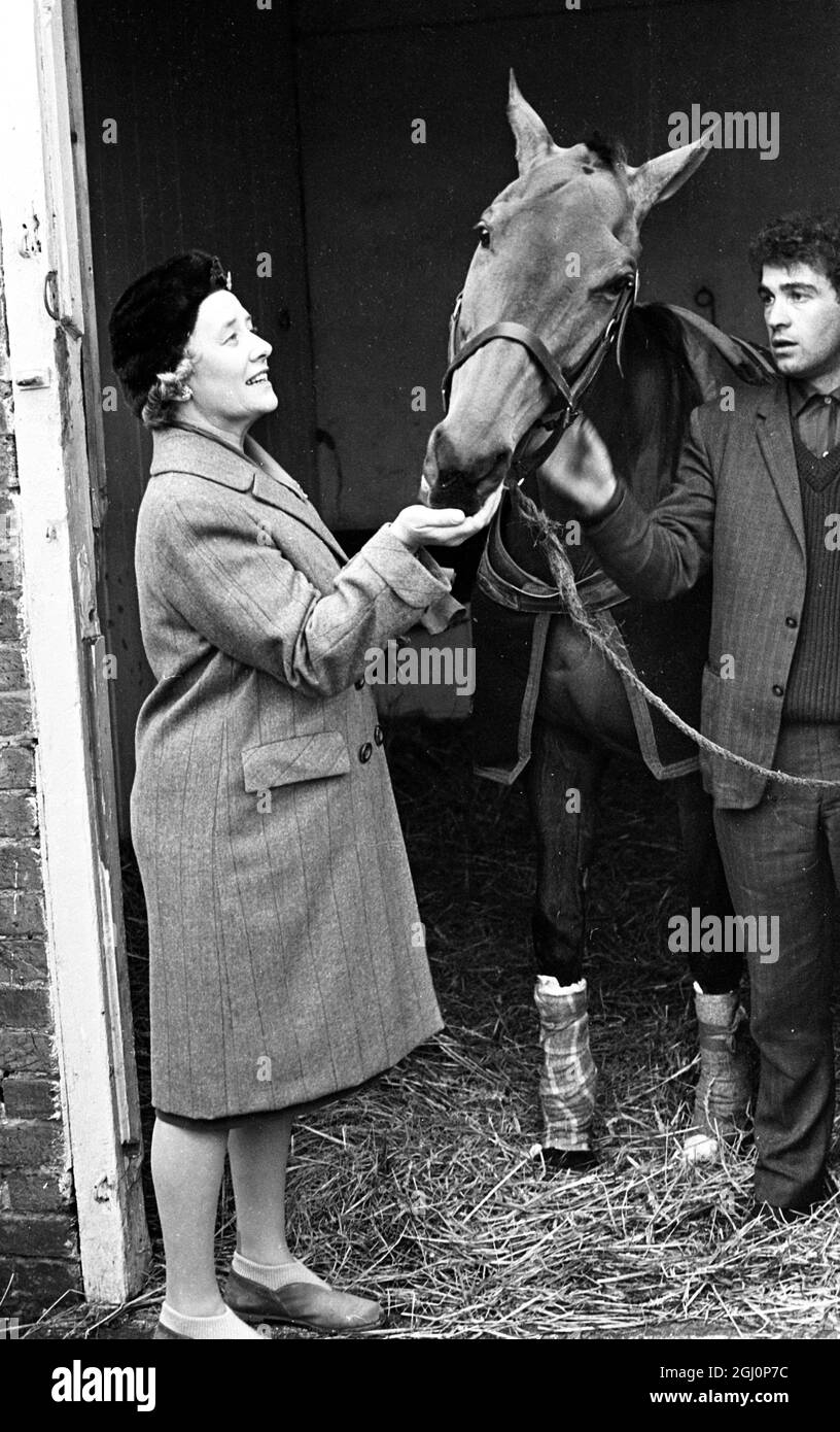 Famous jumper Arkle nuzzles the hand of his owner , Anne , Duchess of Westminster as stable boy John Lumley looks on at Kempton Park stables , Surrey , England . Arkle , the biggest draw in jumping and the greatest money spinner in the history of the sport , with more than £75 000 prize money to his credit , fractured a hoof bone in his off fore during the King George VI Steeple Chase at Kempton Park 27 December , and may never race again . His veterinary surgeon Maxie Cosgrove believes there is an even money chance that he will recover but a lot depends on developments in the next month . 28 Stock Photo