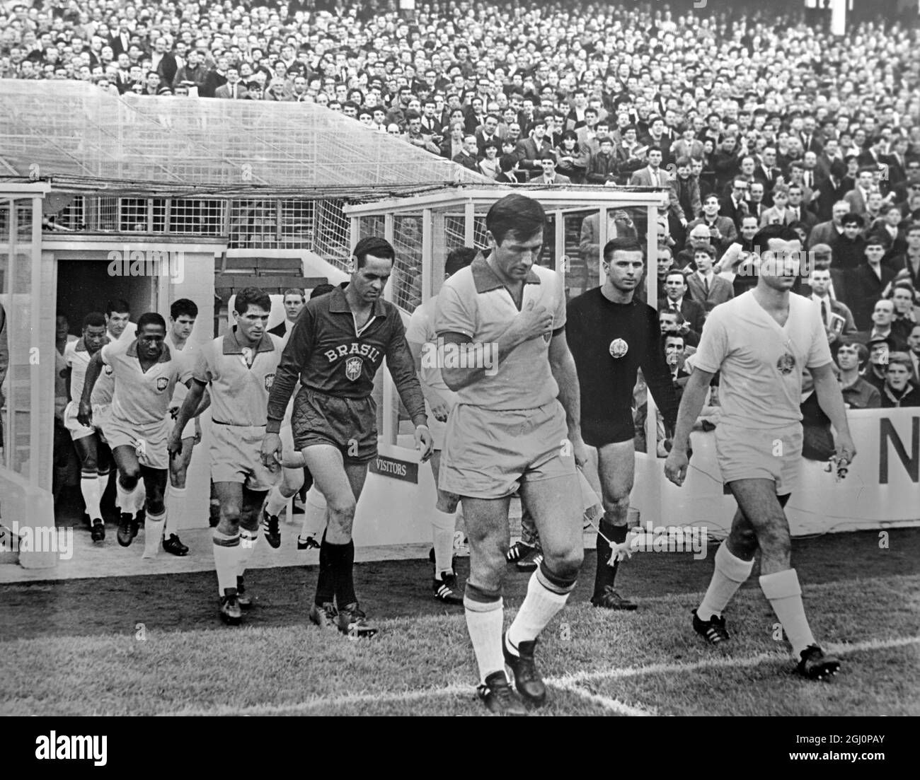 The Brazil and Bulgarian teams are pictured coming out at the beginning of their world cup match , Goodison Park , Liverpool , England . Brazil won 2 - 0 . 13 July 1966 Stock Photo