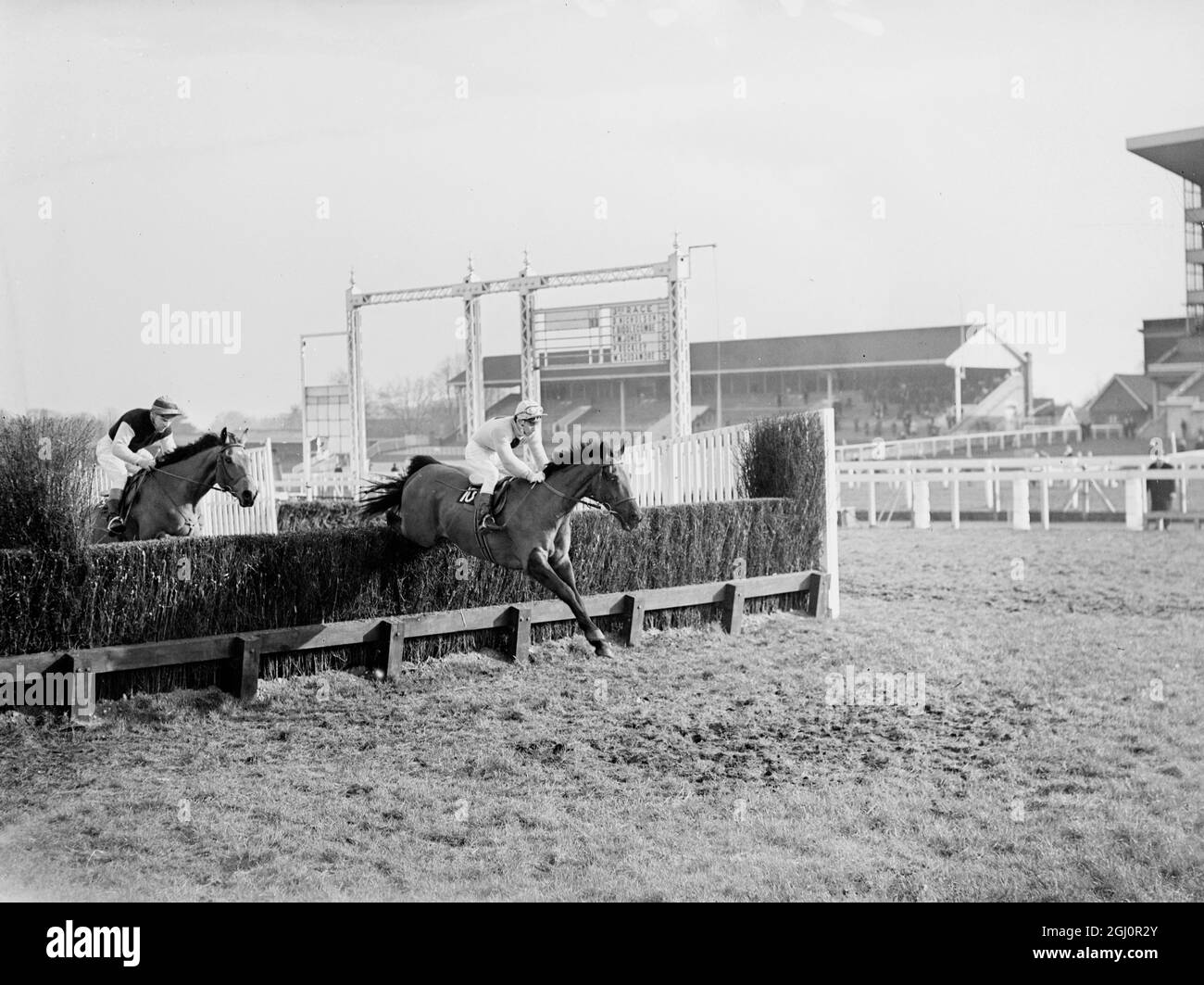 Pictured taking a fence in the Stanlake Handicap Steeple Chase over three miles ,five furlongs , for five years old and upwards at Ascot is the Spanish Duke of Alberquerque , owner rider of L'Empereur , which finished third in the race. L'Empereur was recently purchased by the Duke . The Duke , who is in his fifties , is one of the amateur riders entered for this year's Grand National at Aintree on 26 March , riding twelve-year-old L'Empereur who finished sixth at Aintree last year. It will be the Duke's fourth attempt in the race . 17 february 1966 Stock Photo