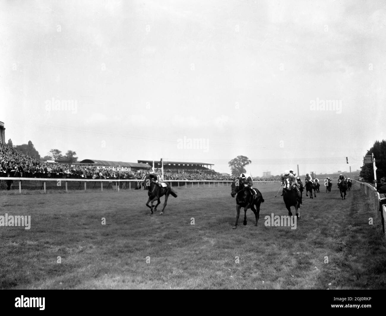 Powder Horn , centre , ridden by Ron Hutchinson , winning the Lewes Stakes at Alexandra Park this afternoon from La Gamberge , left , second , ridden by Joe Mercer and Indian River , right , ridden by Geoff Lewis , Alexandra Park , London , England . 28 September 1965 Stock Photo