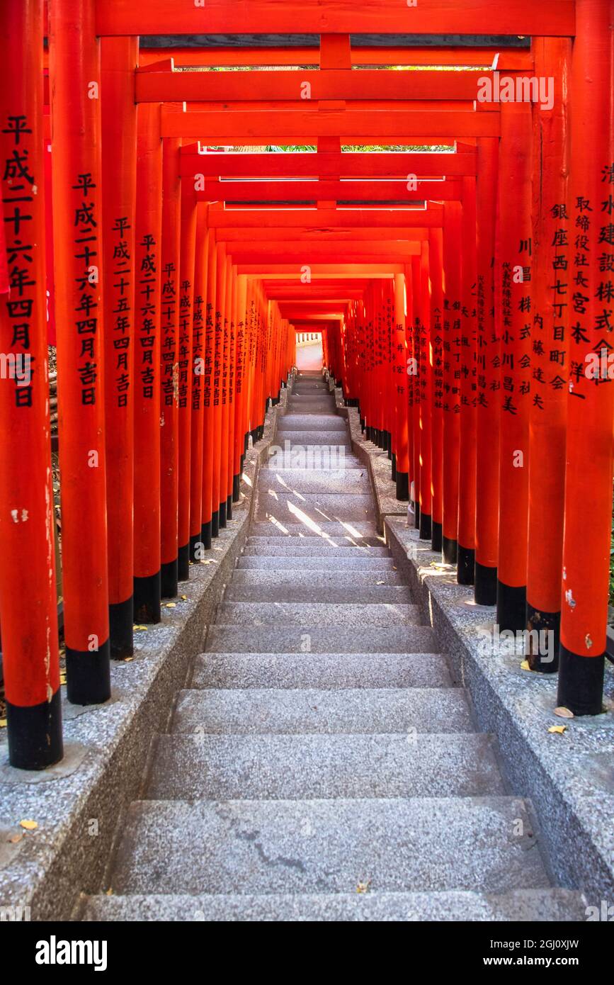 Famous Torii, or gates of the entrance to the Hie Shrine in Tokyo, Japan Stock Photo