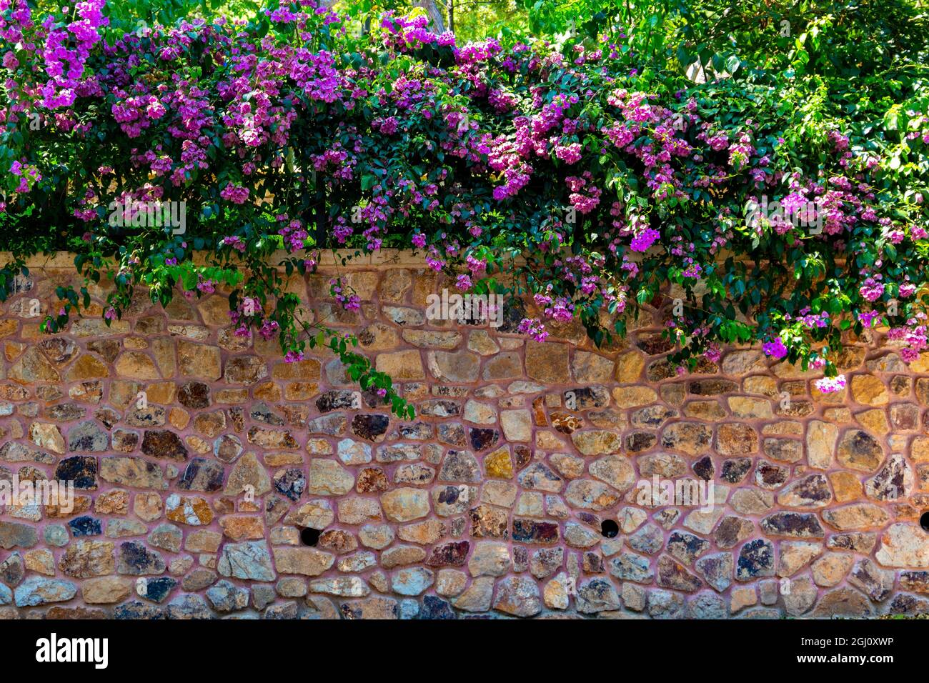 Colorful background of ancient stone wall and flowers Stock Photo - Alamy