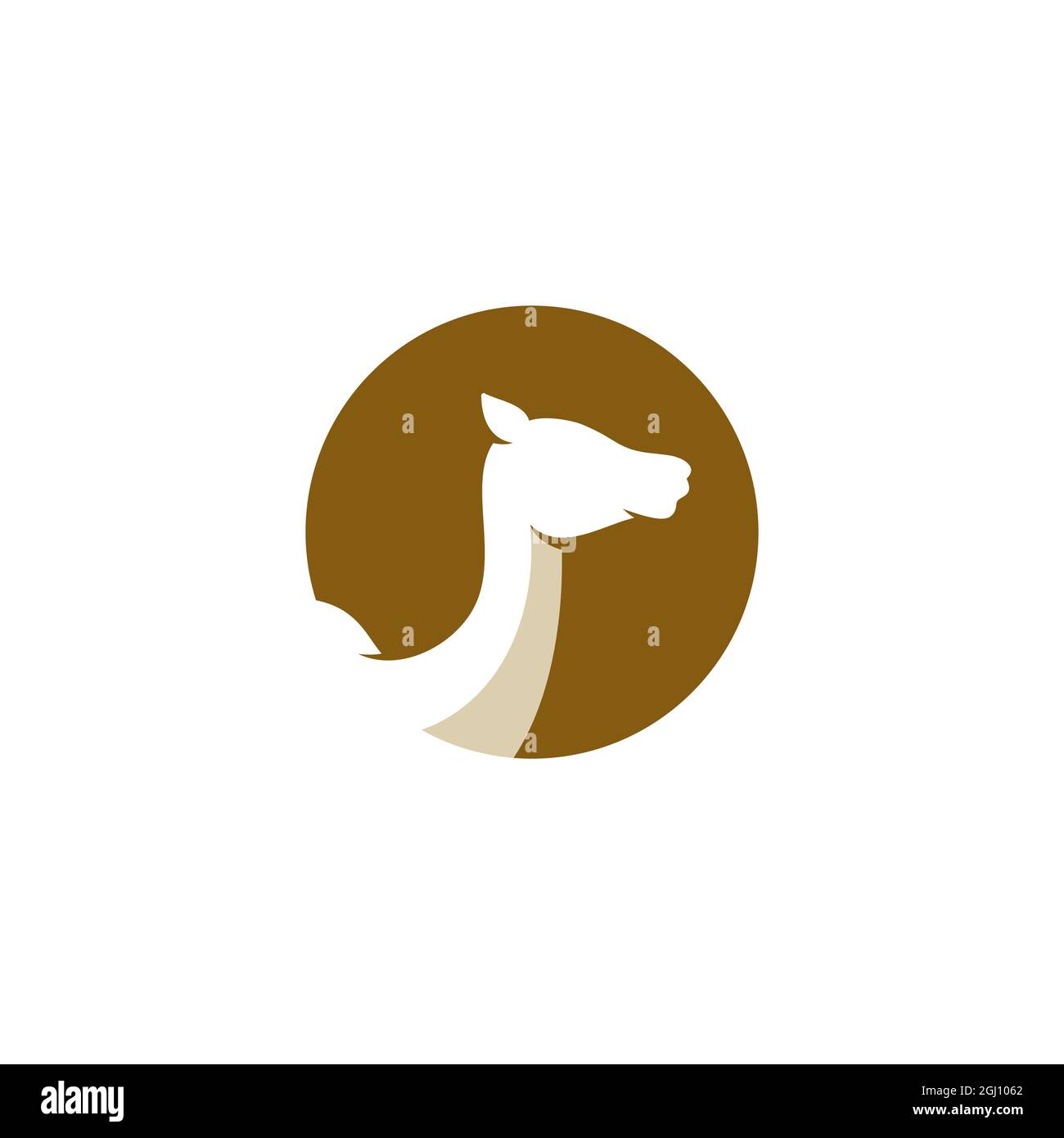 Camel Icon Vector illustration design Stock Photo - Alamy