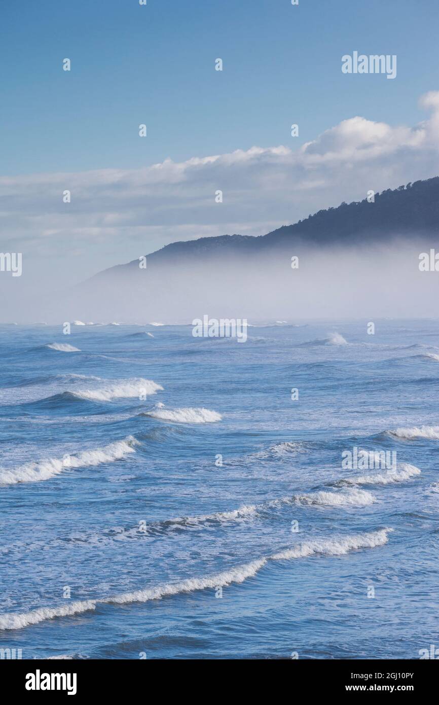 New Zealand, South Island, West Coast, Greymouth, beach, fog Stock Photo
