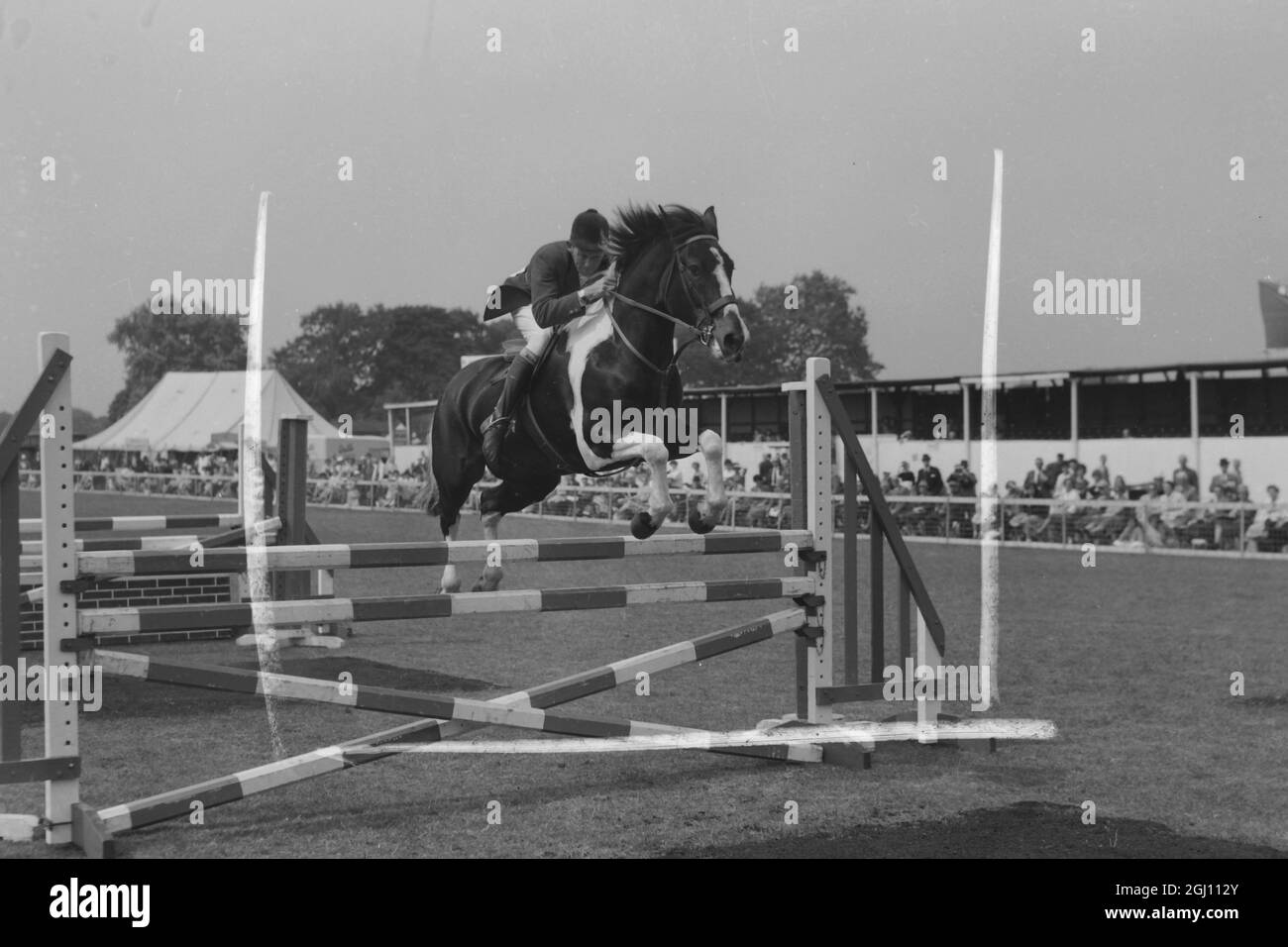 HORSEJUMPING DIMONO 7 WITH ALAN OLIVER AT RICHMOND FOXHUNTER 26 MAY 1961 Stock Photo