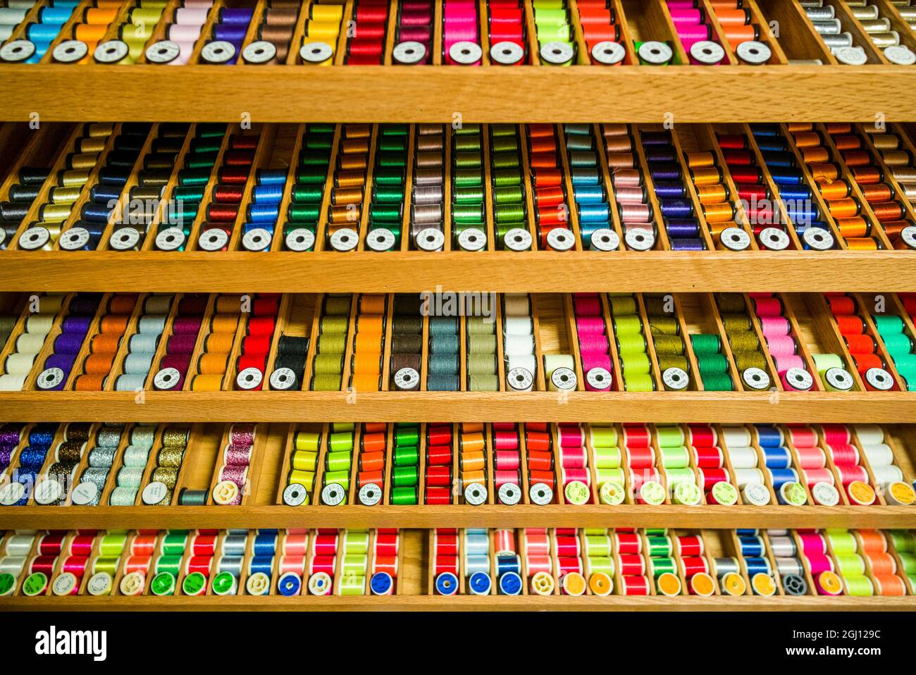 Canada, New Brunswick, Miramichi River Valley, Doaktown. Colorful