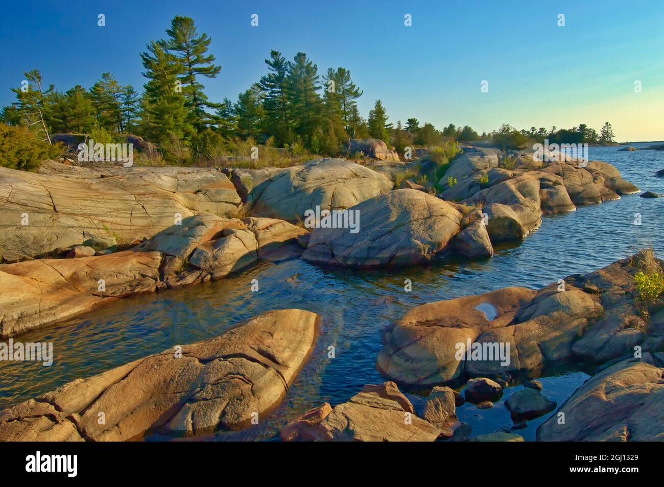 Canada, Ontario, Honey Harbour. Trees on Precambrian shield rock. Credit  as: Mike Grandmaison / Jaynes Gallery / DanitaDelimont. com Stock Photo -  Alamy