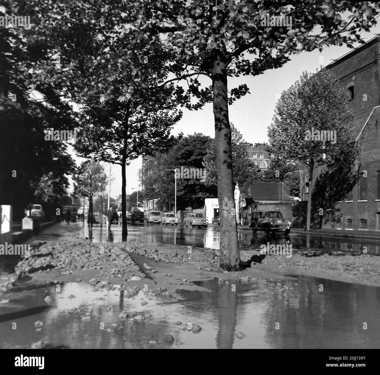 ST JOHN WOOD CRICKET LORDS PITCH ROAD OUTSIDE FLOODED LONDON ; 31 MAY 1962 Stock Photo