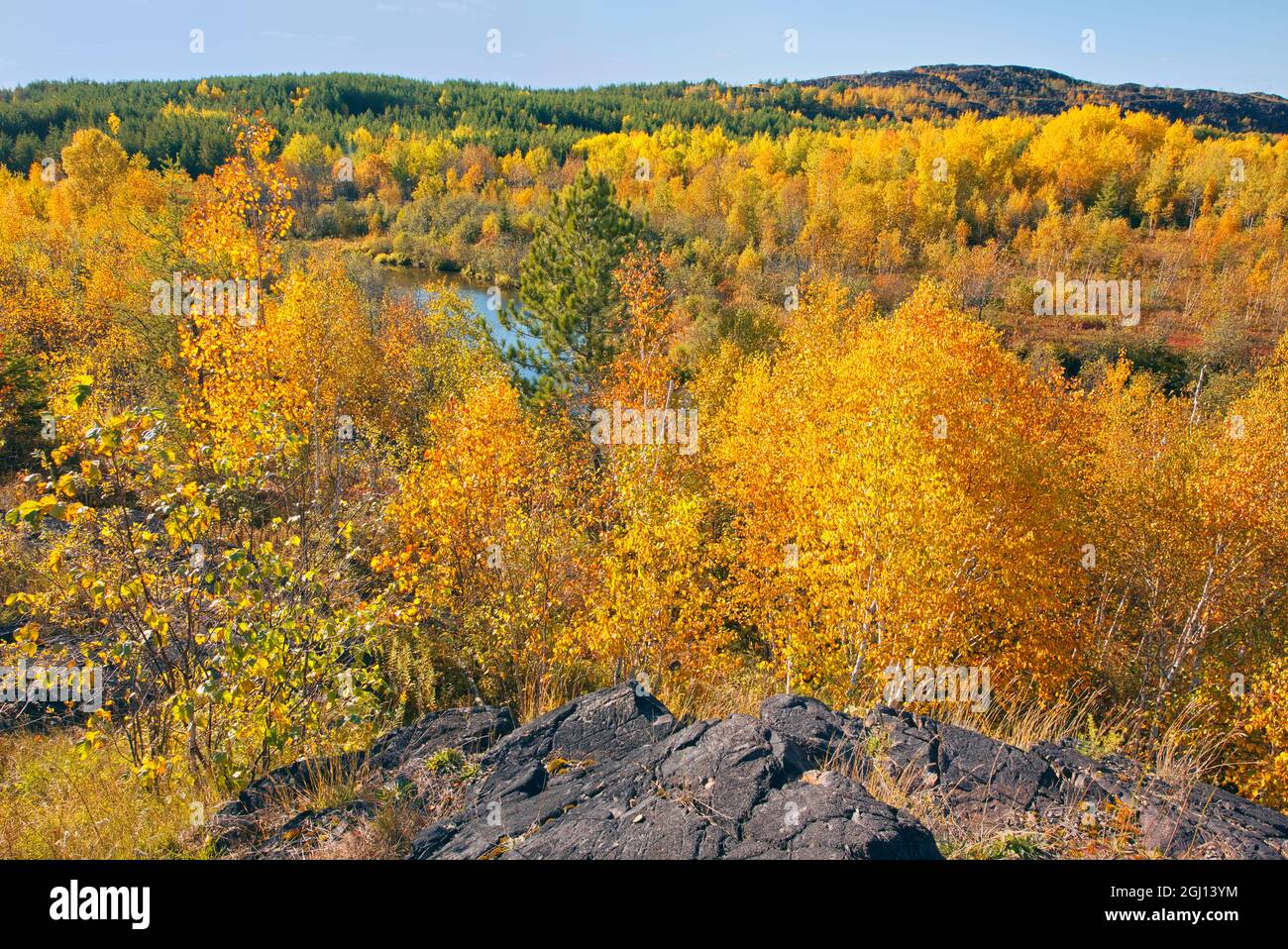 Canada, Ontario, Greater Sudbury. Forest in autumn. Credit as: Mike Grandmaison / Jaynes Gallery / DanitaDelimont.com Stock Photo