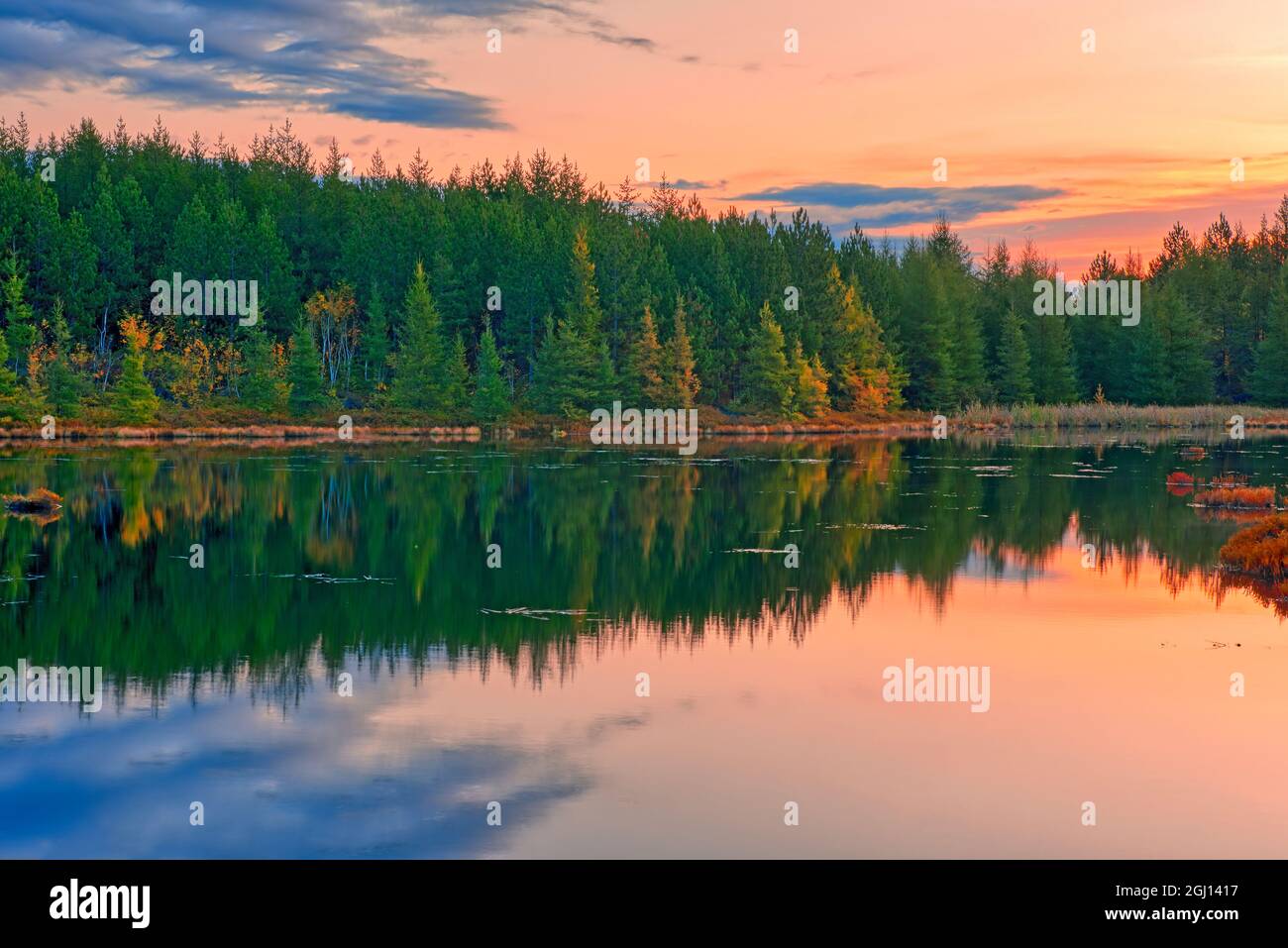 Canada, Ontario, Greater Sudbury. Forest reflection on lake. Credit as: Mike Grandmaison / Jaynes Gallery / DanitaDelimont.com Stock Photo