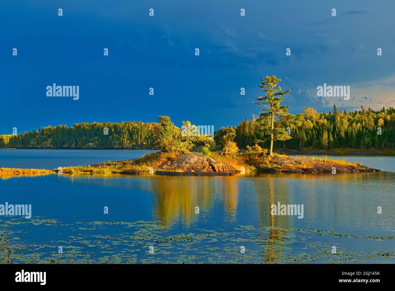 Canada, Ontario, Kenora District. Forest autumn colors reflect on Middle Lake at sunset. Credit as: Mike Grandmaison / Jaynes Gallery / DanitaDelimont Stock Photo