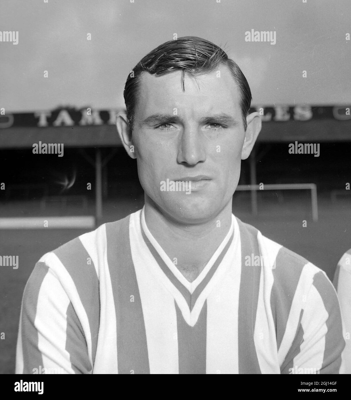 PETER DONNOLLY - PORTRAIT OF FOOTBALLER, PLAYER OF BRIGHTON & HOVE FC FOOTBALL CLUB TEAM ; 9 AUGUST 1962 Stock Photo