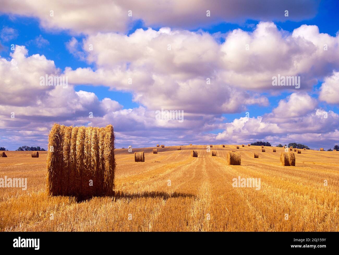 Canada, Saskatchewan, Shellbrook. Bale rolls and cumulus clouds on