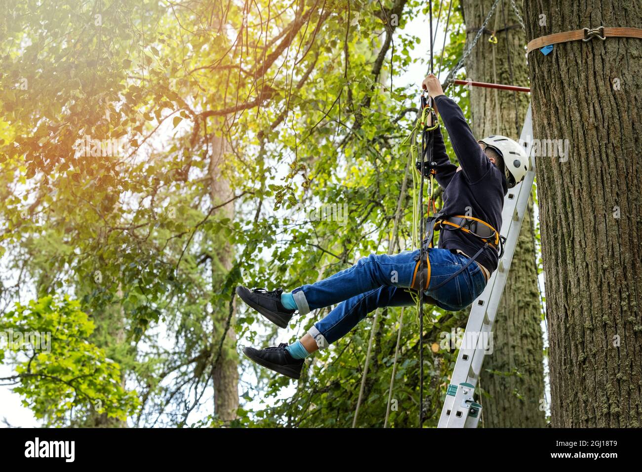 child climbing tree with rope and safety gear in adventure park Stock Photo