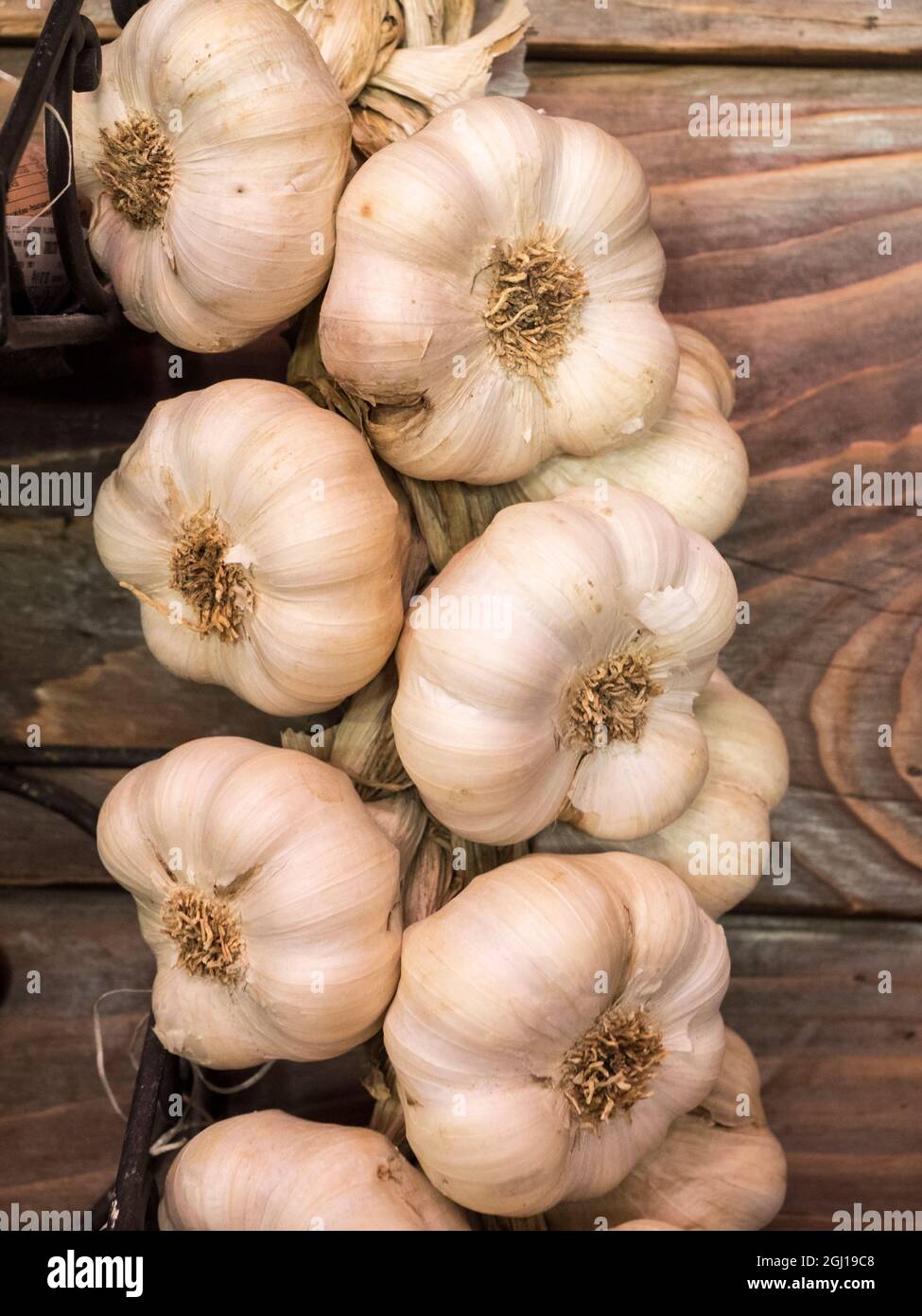 Europe, Italy, Chianti. Garlic hanging in a meat shop in the town of Radda in Chianti. Stock Photo