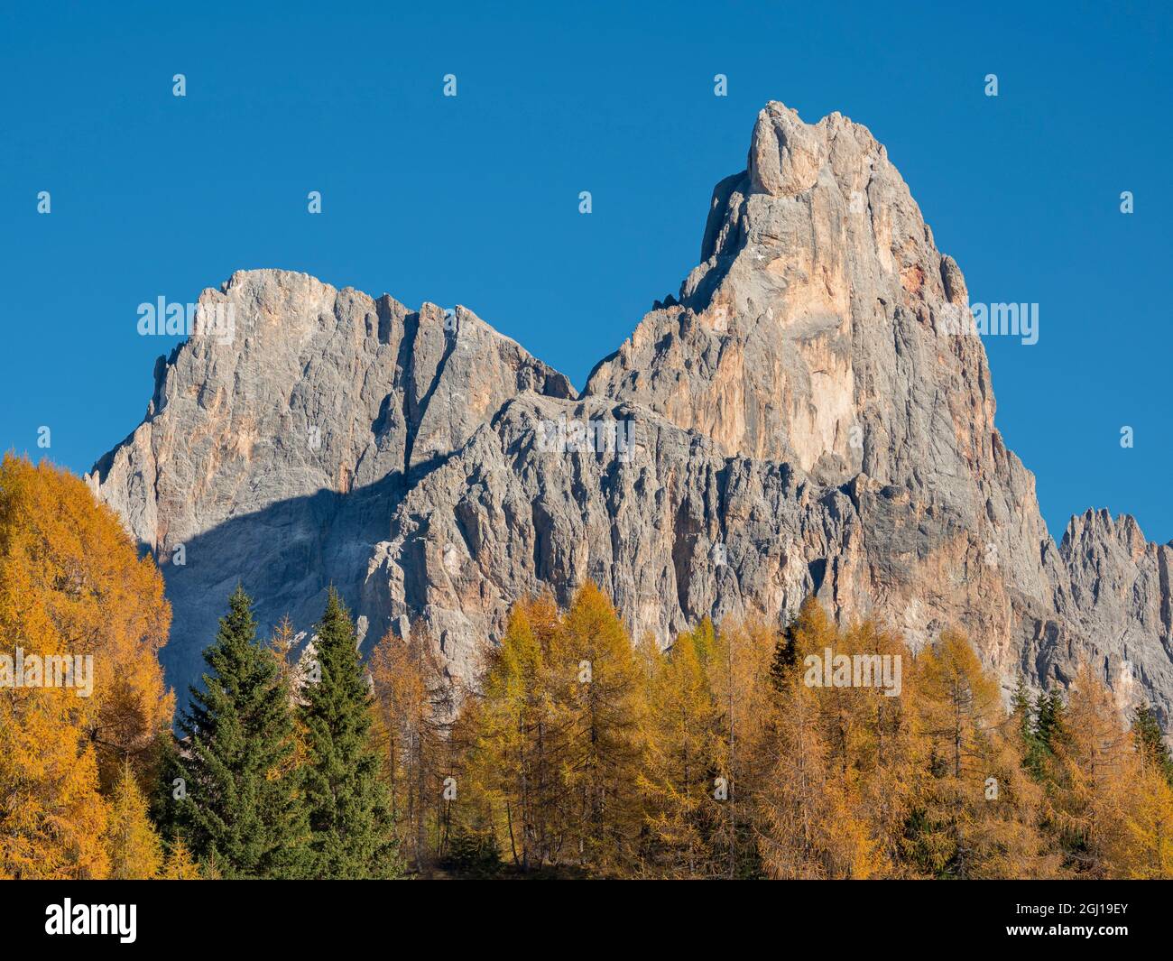 Cimon Della Pala and Cima della Vezzana. Peaks towering over Val Venegia seen from Passo Rolle. Pala group (Pale di San Martino) in the dolomites of T Stock Photo