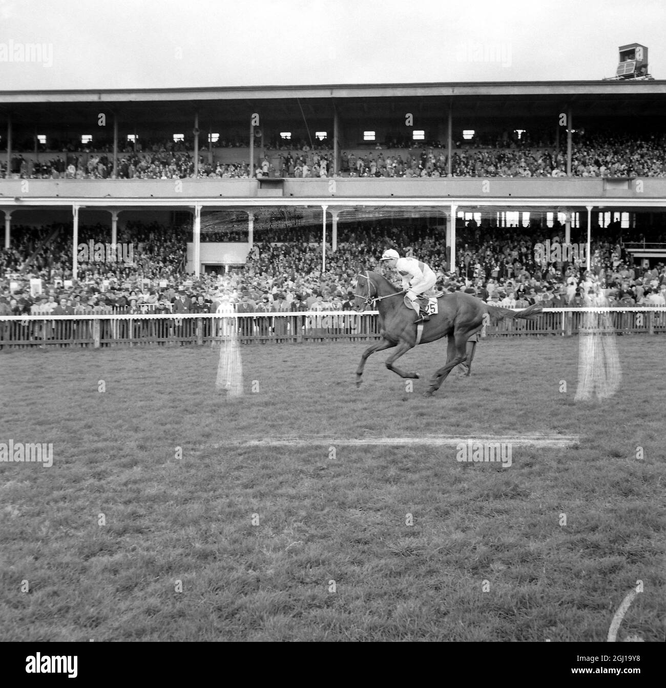 HORSE RACE DJEL WITH M GARCIA UP IN NEWMARKET ; 30 APRIL 1964 Stock Photo