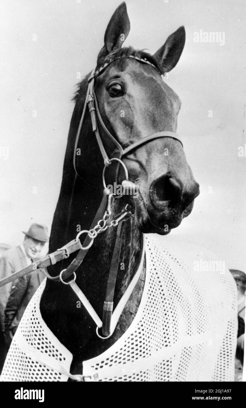 HORSES RACE SANTA CLAUS DERBY FAVOURITE IN DUBLIN ; 27 MAY 1964 Stock Photo