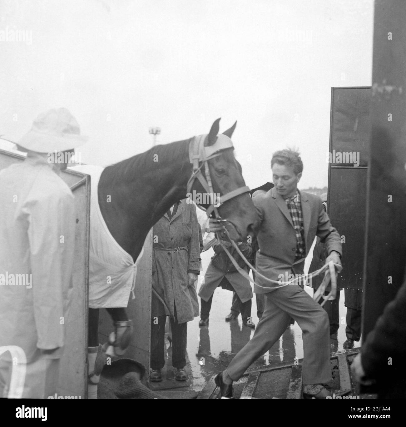 HORSE RACE BALDRIC 2 WINNER OF 2000 GUINEAS ARRIVES FROM FRANCE ; 1 JUNE 1964 Stock Photo