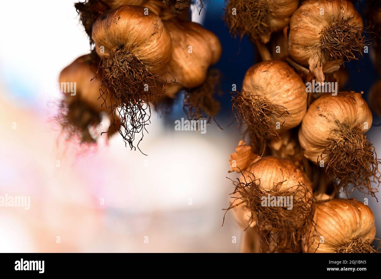 Smoked garlic on a farmers market in France Stock Photo