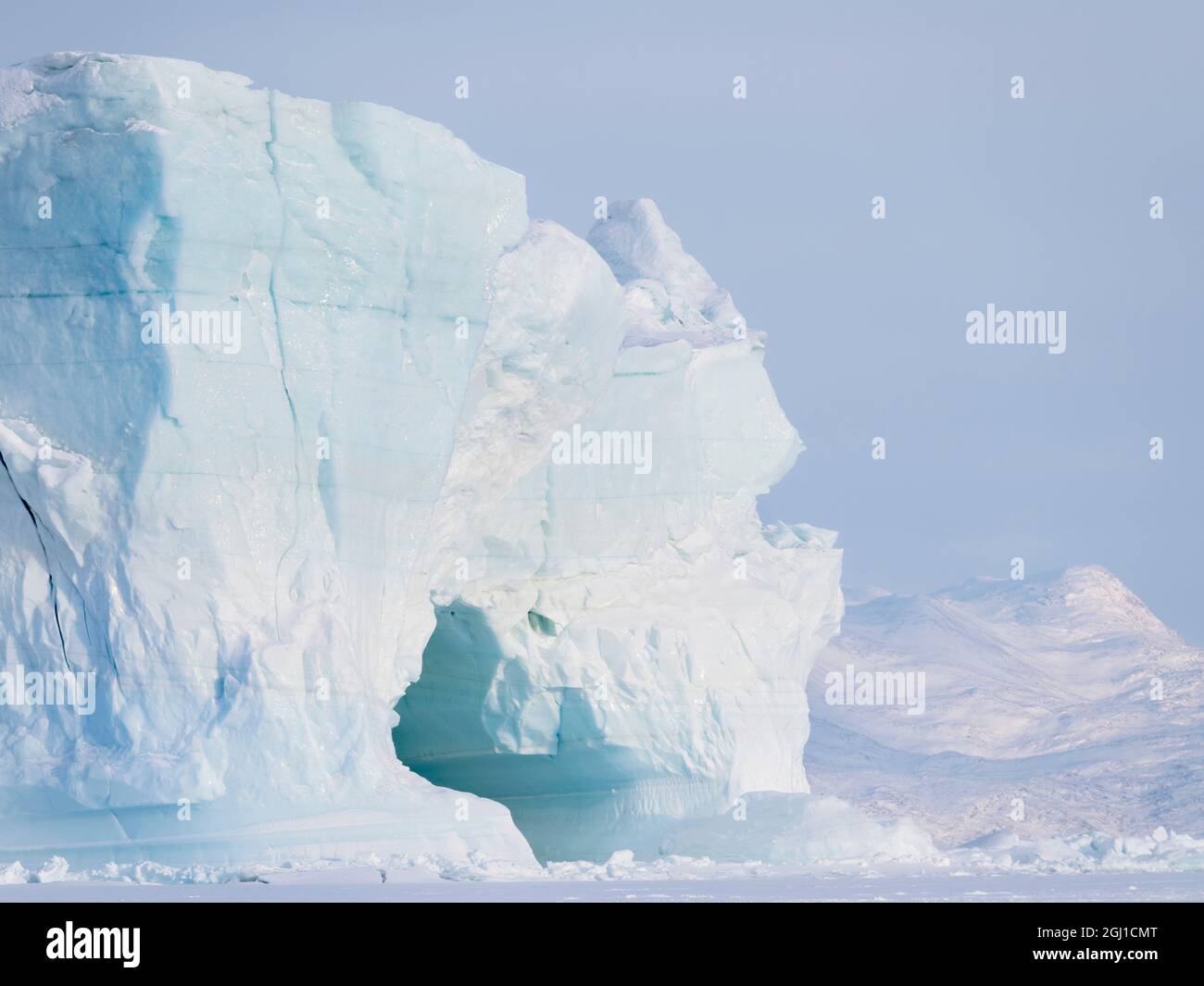 Icebergs frozen into the sea ice of the Uummannaq Fjord System during ...