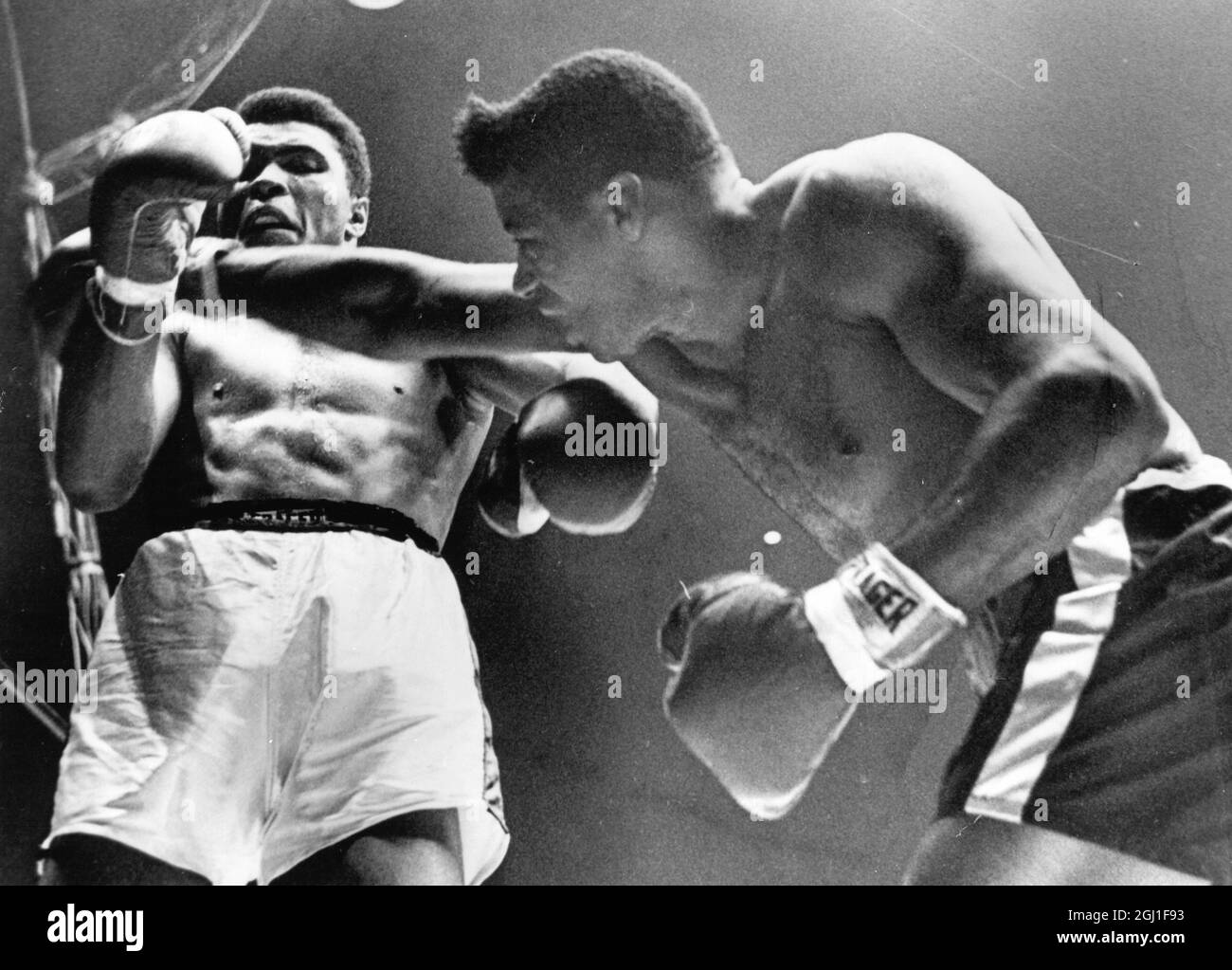 (Muhammad Ali) Cassius Clay in the boxing ring with Floyd Patterson 1965 Stock Photo