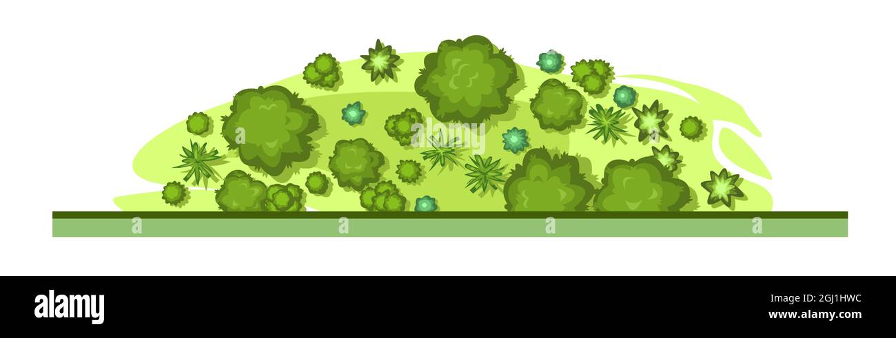 The edge of the forest. Trees and shrubs. View from above. Plant landscape. Green wildlife. Top view. Height. Illustration in cartoon style. Isolated Stock Vector