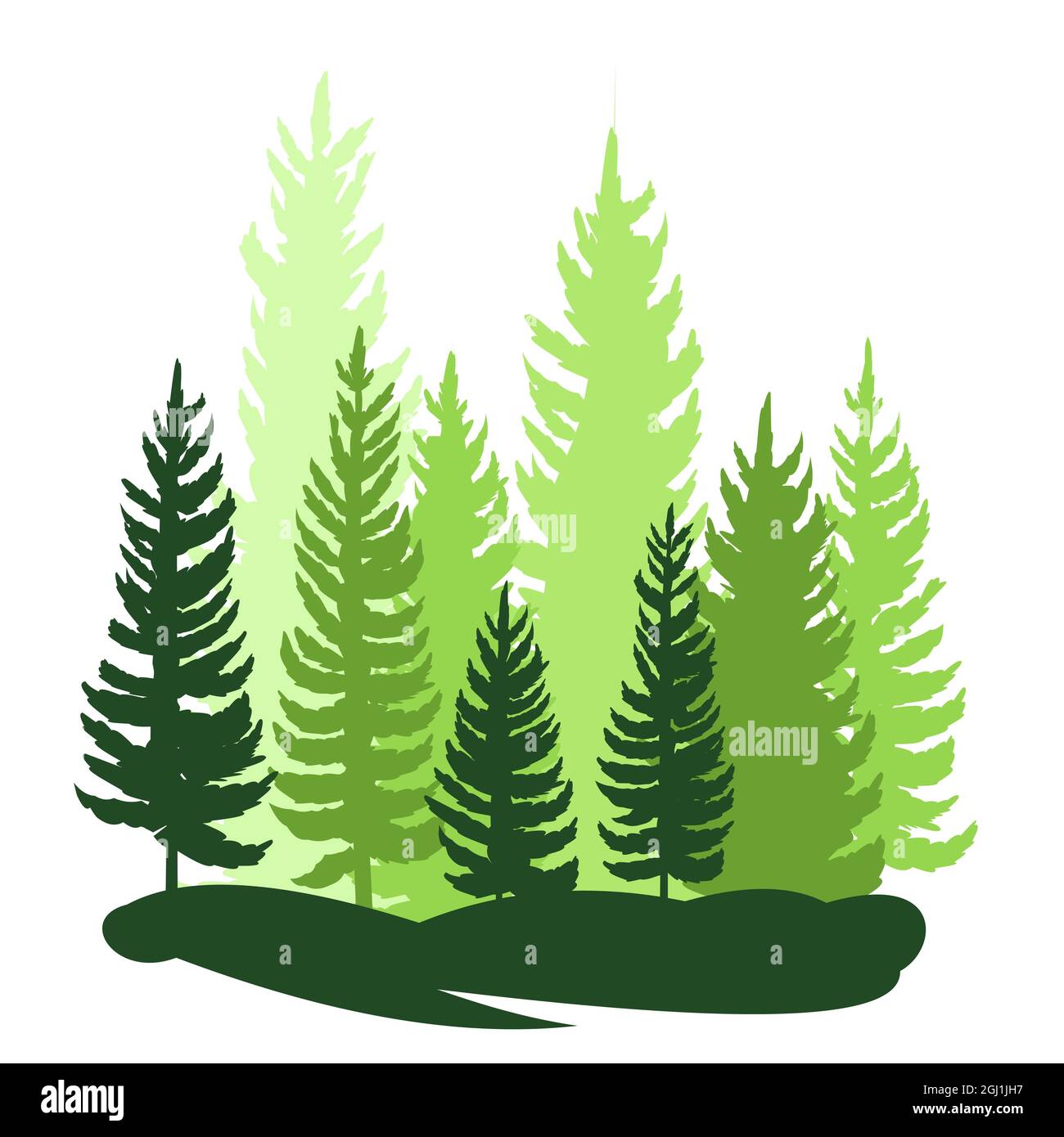 Forest silhouette scene. Landscape with coniferous trees. Beautiful green view. Pine and spruce trees. Summer nature. Isolated illustration vector Stock Vector