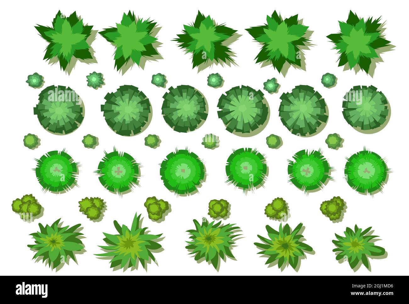 A set of trees and bushes. View from above. Height. Plant landscape. Green wildlife. Top view. Illustration in cartoon style. Isolated Vector Stock Vector