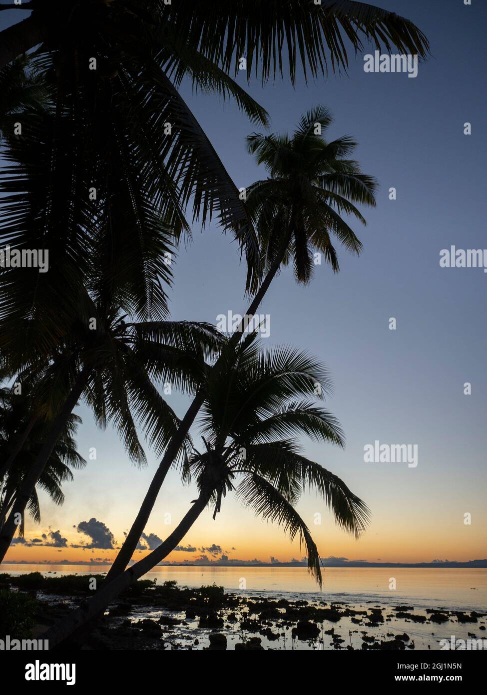 Fiji, Vanua Levu. Beach sunset with palm trees. Stock Photo