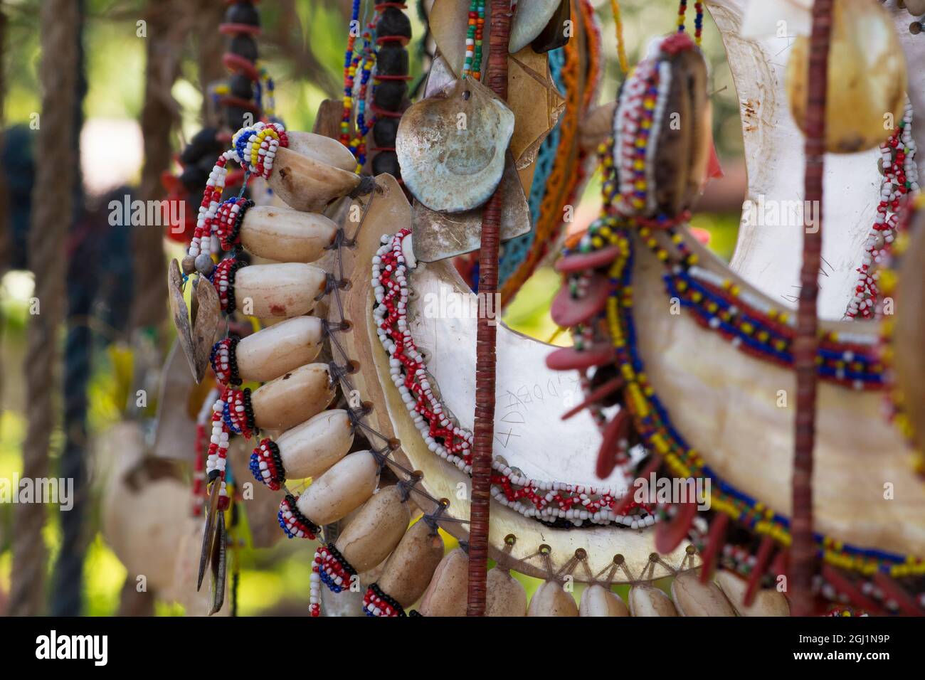 Melanesia, Papua New Guinea, Dobu Island. Vintage historic seashell and bead artifacts that are traded between villages and are displayed showing the Stock Photo
