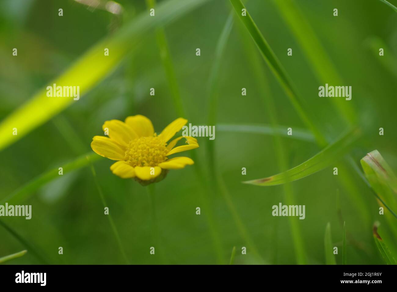 Keulen bertram hires stock photography and images Alamy