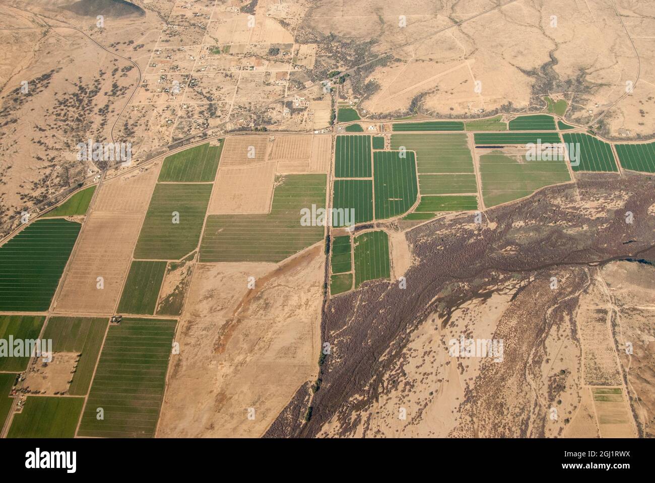 USA, Arizona. Aerial view of irrigated fields in desert. Stock Photo