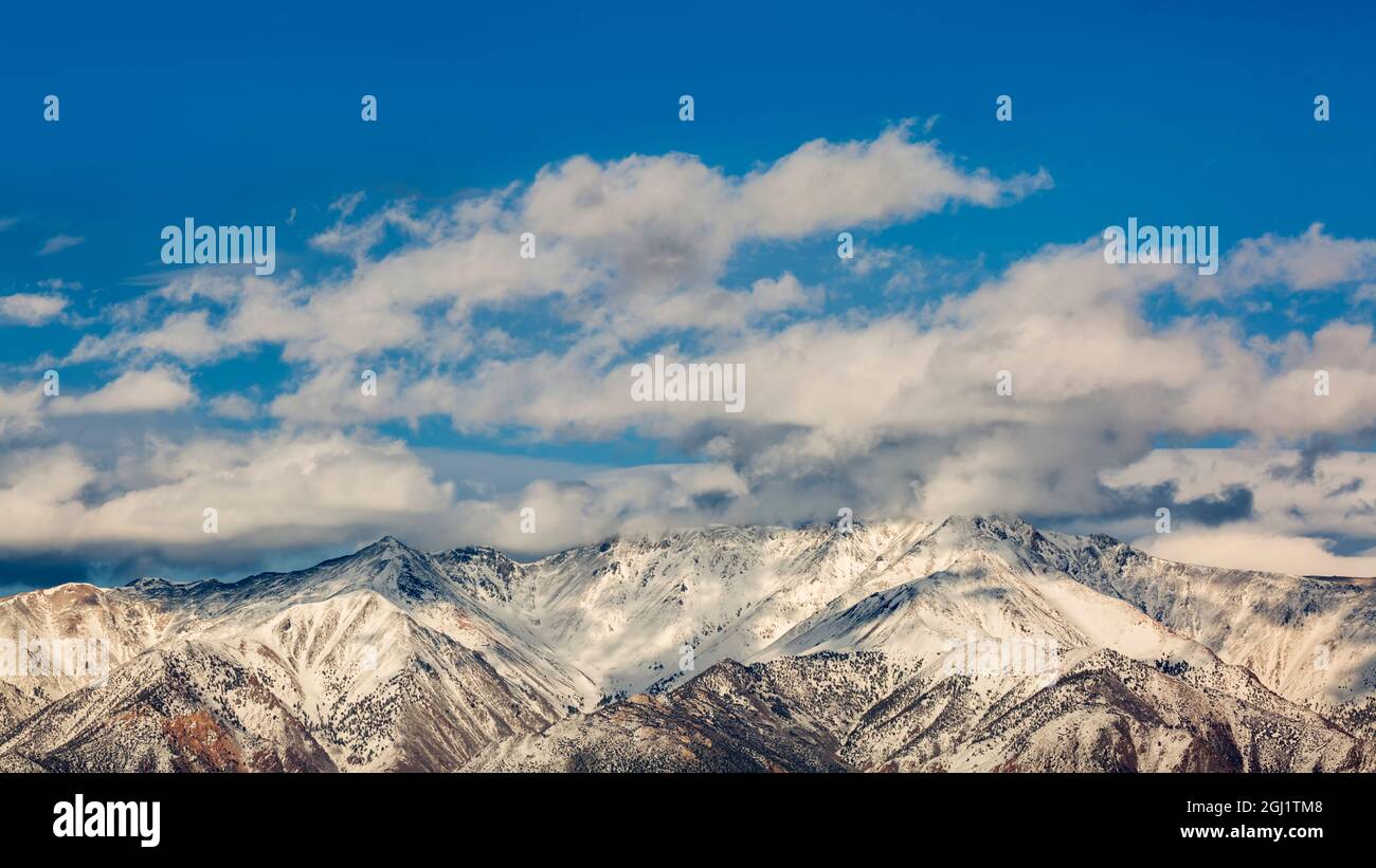 USA, California, Eastern Sierra, White Mountains near Bishop Stock Photo