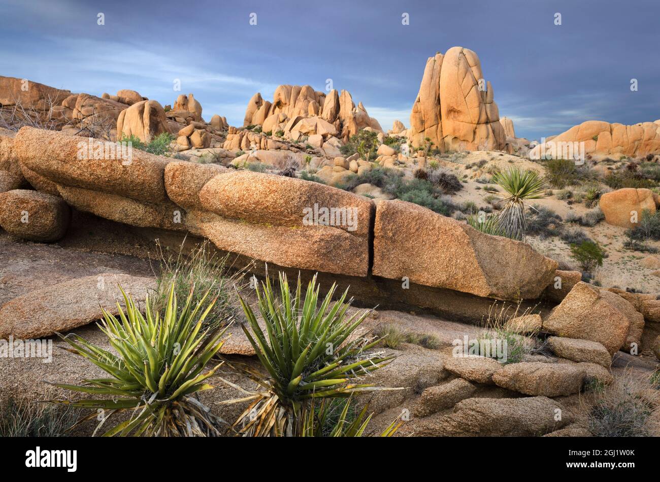 Jumbo rocks area hi-res stock photography and images - Alamy