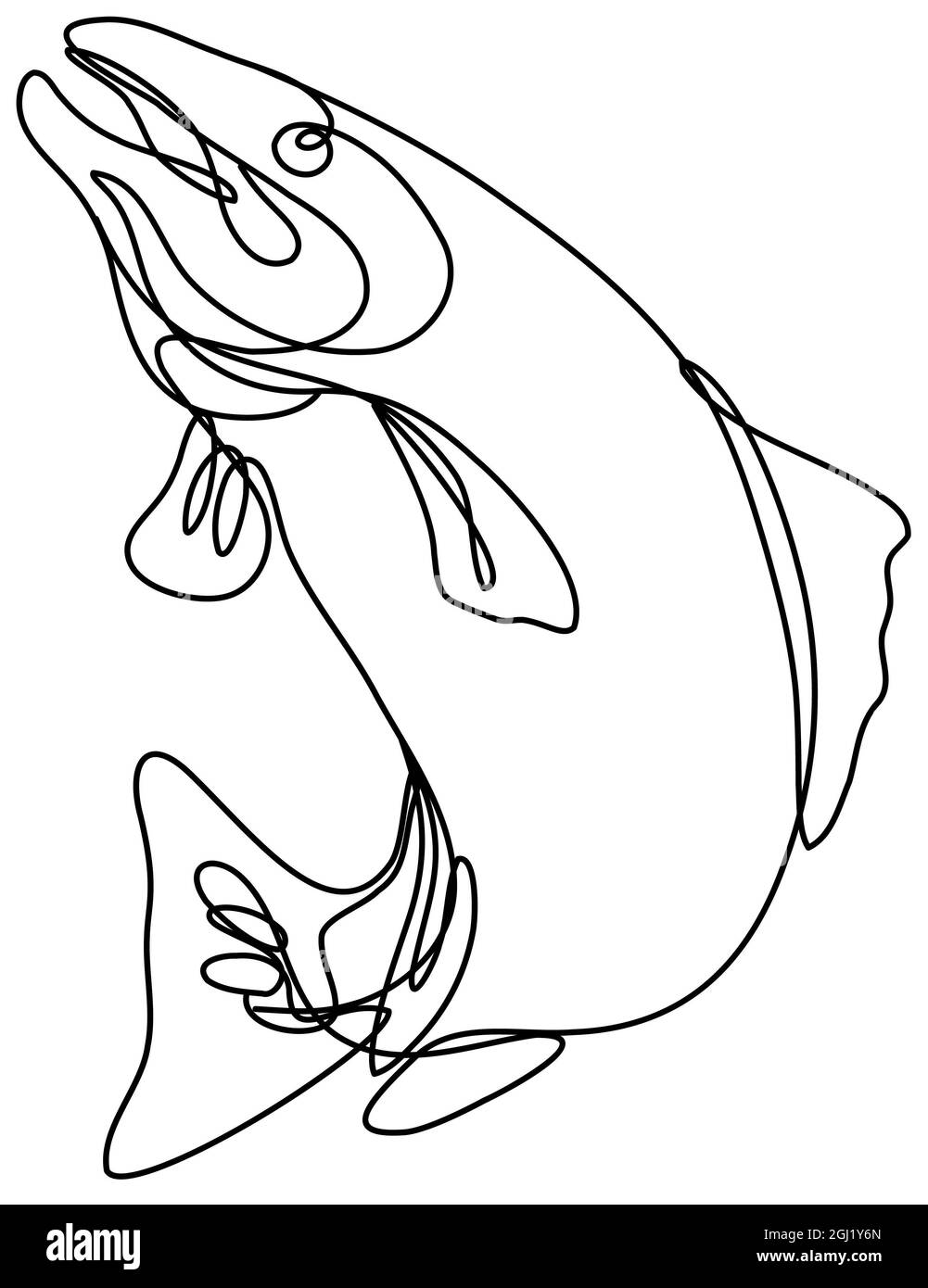 Lake Trout Jumping Up Continuous Line Drawing Stock Photo
