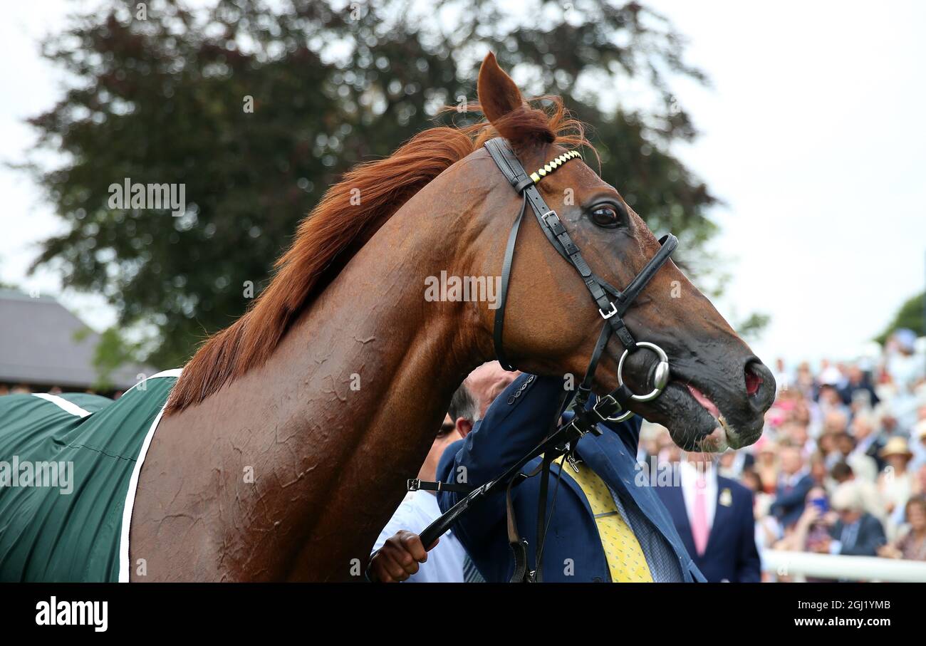 Stradivarius lonsdale 2021 hires stock photography and images Alamy