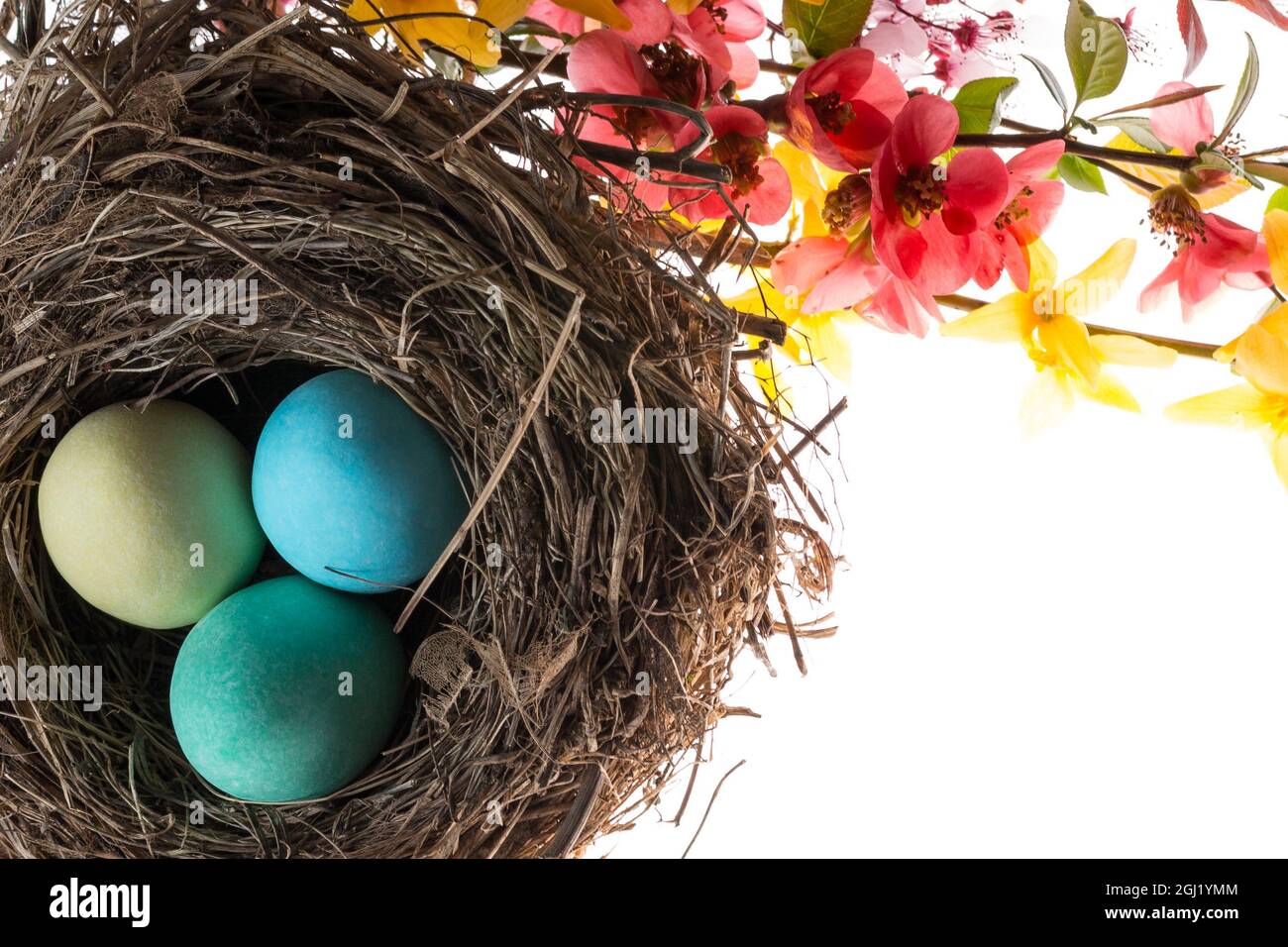 Creative composition of colored eggs in a nest with beautiful flowers ...
