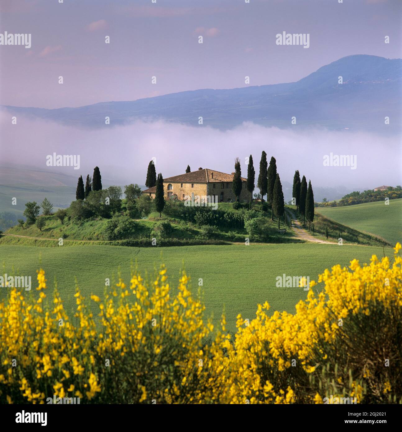Tuscan farmhouse with cypress trees in misty landscape at sunrise, San Quirico d'Orcia, Siena Province, Tuscany, Italy, Europe Stock Photo