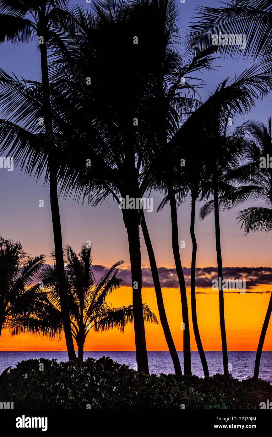 Tropical sunset hi-res stock photography and images - Alamy